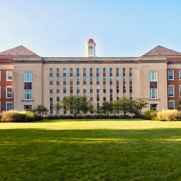Portfolio image